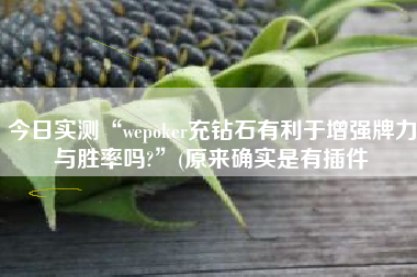 今日实测“wepoker充钻石有利于增强牌力与胜率吗?”(原来确实是有插件