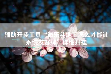 辅助开挂工具“微乐斗地主怎么才能让系统发好牌”详细开挂