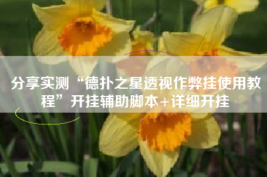 分享实测“德扑之星透视作弊挂使用教程”开挂辅助脚本+详细开挂