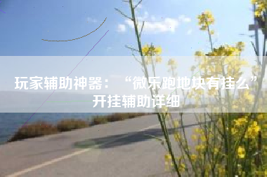 玩家辅助神器：“微乐跑地块有挂么”开挂辅助详细