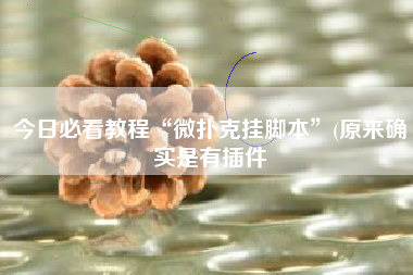 今日必看教程“微扑克挂脚本	”(原来确实是有插件