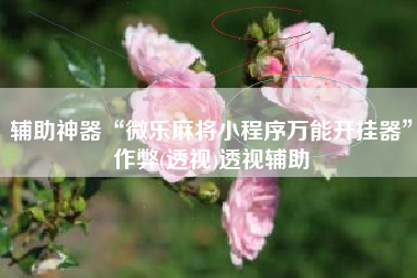 辅助神器“微乐麻将小程序万能开挂器”作弊(透视)透视辅助