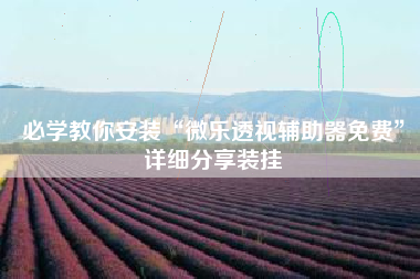 必学教你安装“微乐透视辅助器免费”详细分享装挂