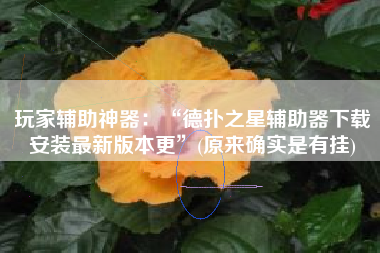 玩家辅助神器：“德扑之星辅助器下载安装最新版本更”(原来确实是有挂)