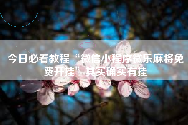 今日必看教程“微信小程序微乐麻将免费开挂	”其实确实有挂