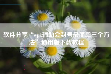 软件分享“wpk辅助会封号最简单三个方法”通用版下载教程