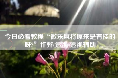 今日必看教程“微乐麻将原来是有挂的呀?	”作弊(透视)透视辅助