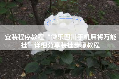 安装程序教程“微乐四川手机麻将万能挂	”详细分享装挂步骤教程