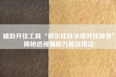 辅助开挂工具“微乐桂林字牌开挂神器”揭秘透视辅助万能挂用法