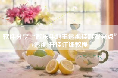 软件分享“微乐斗地主透视挂游戏亮点”(透视)开挂详细教程