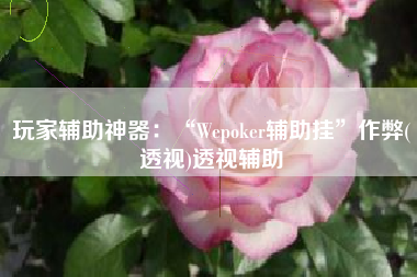 玩家辅助神器：“Wepoker辅助挂”作弊(透视)透视辅助