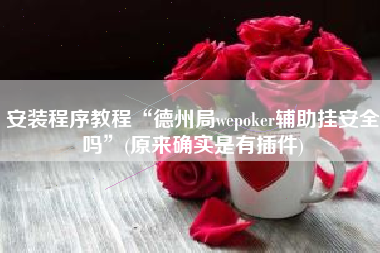 安装程序教程“德州局wepoker辅助挂安全吗”(原来确实是有插件)