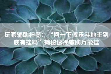 玩家辅助神器：“问一下微乐斗地主到底有挂吗	”揭秘透视辅助万能挂