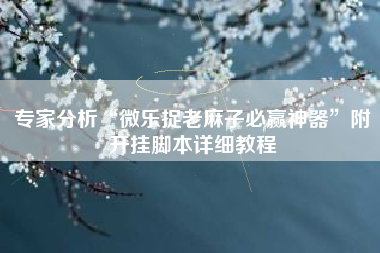 专家分析“微乐捉老麻子必赢神器”附开挂脚本详细教程