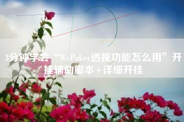 3分钟学会“WePoker透视功能怎么用	”开挂辅助脚本+详细开挂