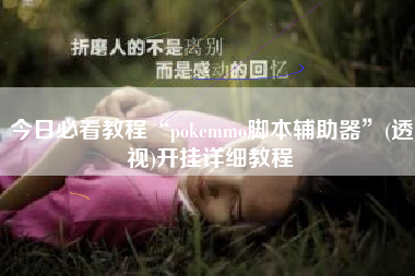 今日必看教程“pokemmo脚本辅助器”(透视)开挂详细教程