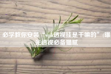 必学教你安装“wpk透视挂是干嘛的”(曝光透视必备猫腻