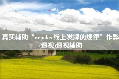 真实辅助“wepoker线上发牌的规律”作弊(透视)透视辅助
