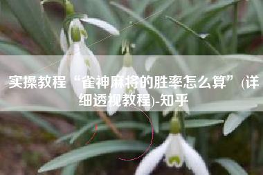 实操教程“雀神麻将的胜率怎么算”(详细透视教程)-知乎