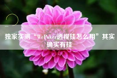 独家实测“WePoker透视挂怎么用”其实确实有挂