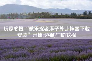 玩家必搜“微乐捉老麻子外卦神器下载安装	”开挂(透视)辅助教程