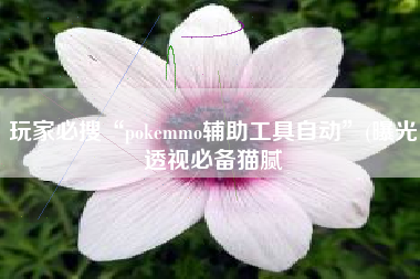 玩家必搜“pokemmo辅助工具自动	”(曝光透视必备猫腻