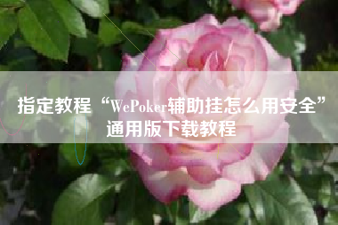 指定教程“WePoker辅助挂怎么用安全”通用版下载教程