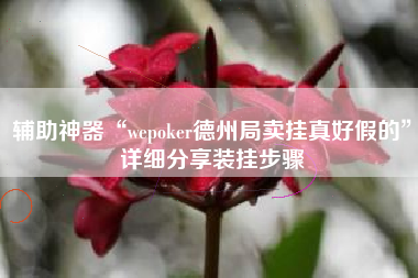 辅助神器“wepoker德州局卖挂真好假的”详细分享装挂步骤