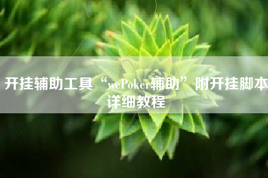 开挂辅助工具“wePoker辅助”附开挂脚本详细教程