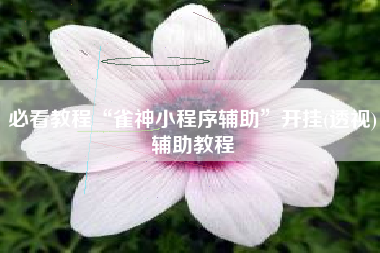 必看教程“雀神小程序辅助	”开挂(透视)辅助教程