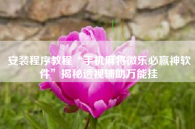 安装程序教程“手机麻将微乐必赢神软件	”揭秘透视辅助万能挂