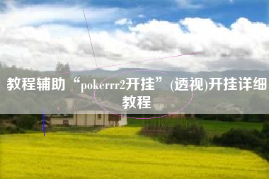 教程辅助“pokerrr2开挂”(透视)开挂详细教程