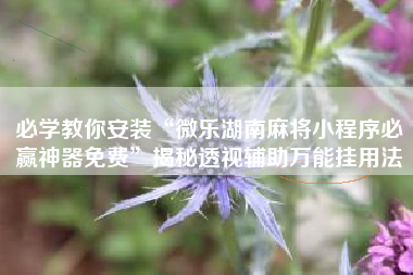 必学教你安装“微乐湖南麻将小程序必赢神器免费	”揭秘透视辅助万能挂用法