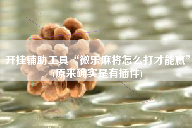 开挂辅助工具“微乐麻将怎么打才能赢”(原来确实是有插件)