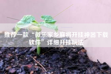 推荐一款“微乐家乡麻将开挂神器下载软件”详细开挂玩法