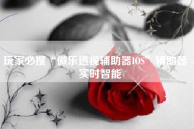 玩家必搜“微乐透视辅助器IOS	”辅助器 - 实时智能