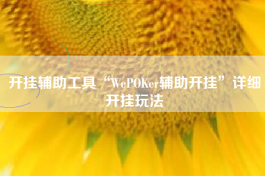 开挂辅助工具“WePOKer辅助开挂	”详细开挂玩法