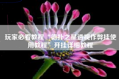 玩家必看教程“德扑之星透视作弊挂使用教程”开挂详细教程