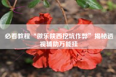 必看教程“微乐陕西挖坑作弊”揭秘透视辅助万能挂