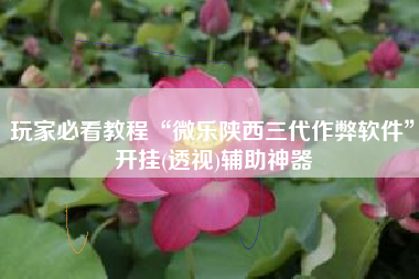 玩家必看教程“微乐陕西三代作弊软件”开挂(透视)辅助神器