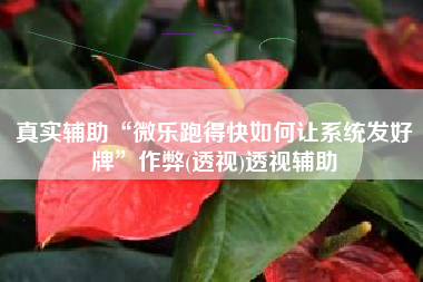 真实辅助“微乐跑得快如何让系统发好牌	”作弊(透视)透视辅助