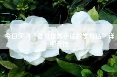 今日实测“德州作弊手法教学方法”详细开挂