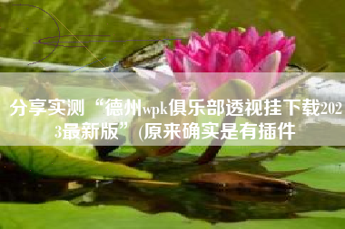 分享实测“德州wpk俱乐部透视挂下载2023最新版”(原来确实是有插件
