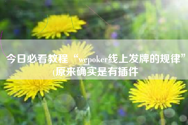 今日必看教程“wepoker线上发牌的规律”(原来确实是有插件