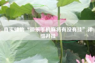 真实辅助“微乐手机麻将有没有挂	”详细开挂