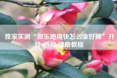 独家实测“微乐跑得快怎么拿好牌”开挂(透视)辅助教程