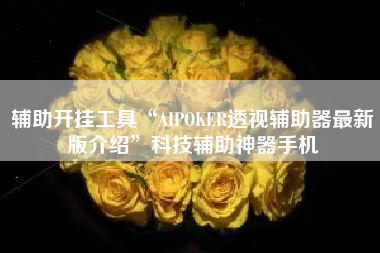 辅助开挂工具“AIPOKER透视辅助器最新版介绍”科技辅助神器手机