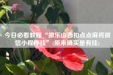今日必看教程“微乐山西扣点点麻将微信小程序挂	”(原来确实是有挂)