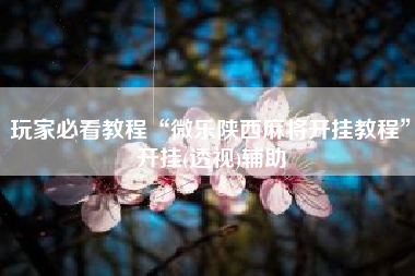 玩家必看教程“微乐陕西麻将开挂教程”开挂(透视)辅助