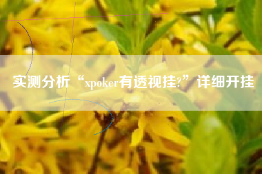 实测分析“xpoker有透视挂?	”详细开挂